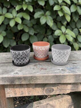 Set of 3 Terracotta Succulent Pots